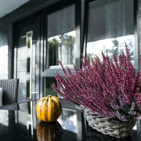 Fewo Meisennest, 50 Qm *