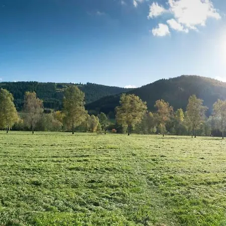 Apartment Saalhausen Sauerland *